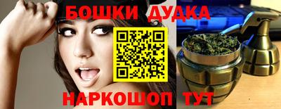 МДПВ Новодвинск