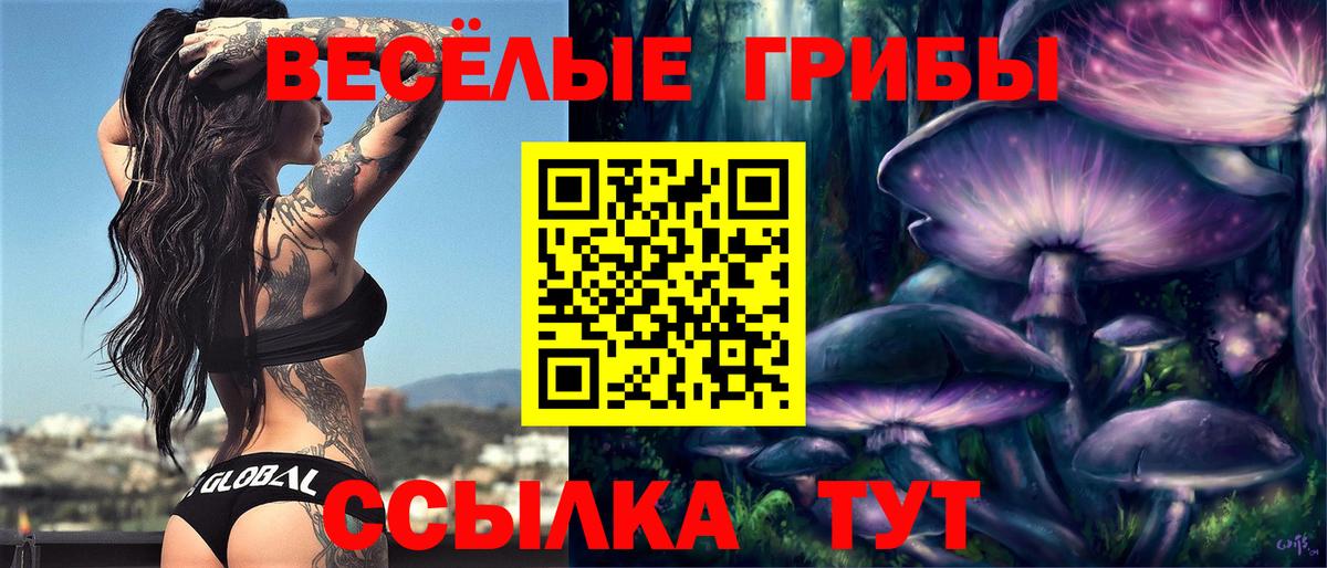 Псилоцибиновые грибы GOLDEN TEACHER  Вход с VPN  Мончегорск  Галлюциногенные грибы GOLDEN TEACHER 